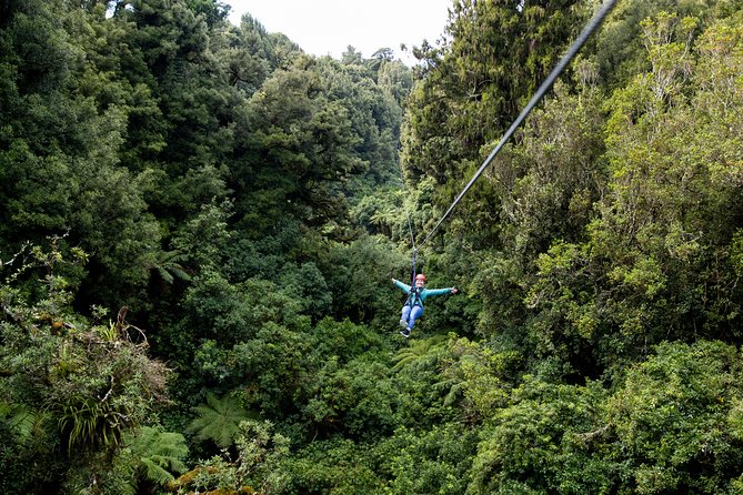 The Original Canopy Zipline Experience Private Tour From Auckland