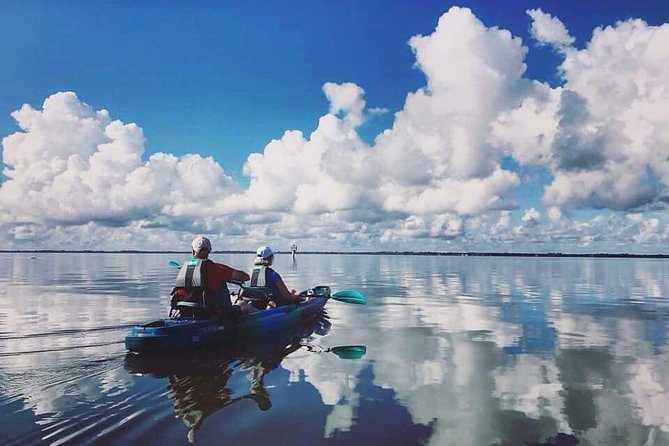 Thousand Island Mangrove Tunnel, Manatee & Dolphin Kayak Tour W/Cocoa Kayaking - Tour Highlights