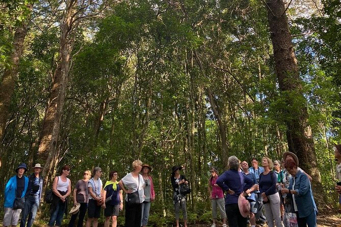 Three-Hour Guided Bushwalk With Breakfast, Cook Monument  – Norfolk Island