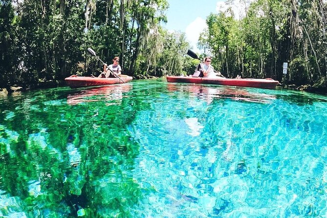 Three Sisters Springs Kayak And Swim Eco-Tour Crystal River