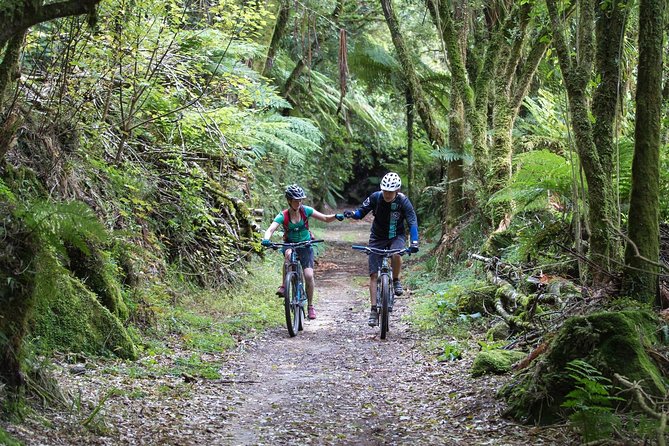 Timber Trail Mountain Bike 2 Day, 1 Night Package - Inclusions and Exclusions