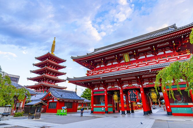 Tokyo Layover Tour English Speaking Driver Only : NRT Airport Dep - Tour Pricing and Inclusions