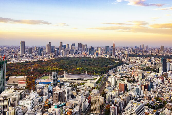 Tokyo Layover Tour With Licensed Guide:Narita Airport Dep