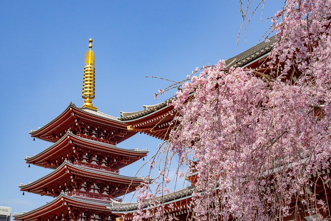 Tokyo Personalized Full-day Tour Led by a Local Expert