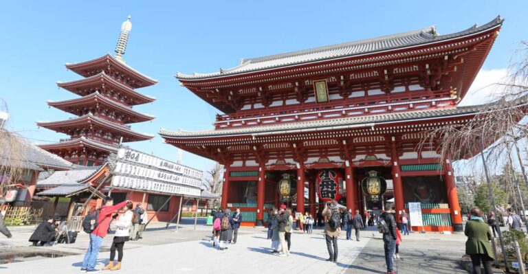Tokyo: Private City Highlights Tour With Local Guide