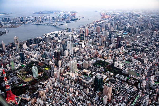 Tokyo Skyscraper Tour Over Tokyo Bay, Shibuya, and Shinjuku - Tour Highlights