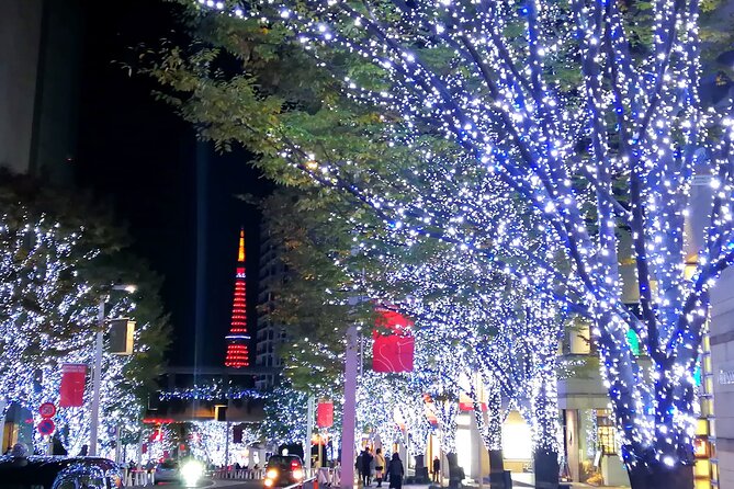 Tokyo Winter Illumination Tour