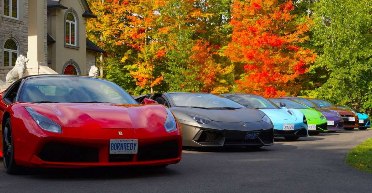 Toronto: Exotic or Supercar Test Drive on Hamilton Mountain