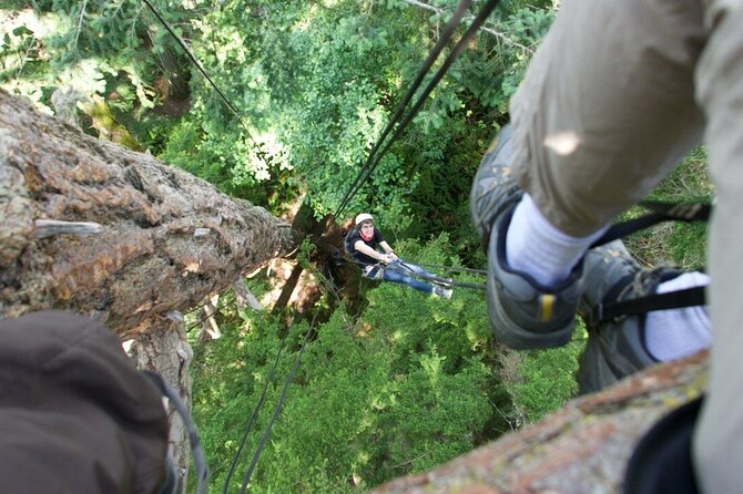 Tree Canopy Climbing on Lopez Island - Overview of Tree Canopy Climbing Adventure