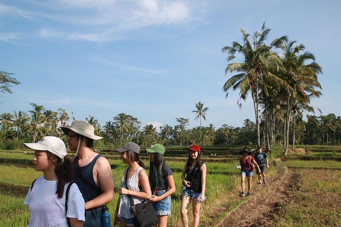 Trekking and Sightseeing Tour With Lunch