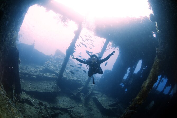 Try Diving in Tulamben - Shipwreck - Pricing and Booking Details