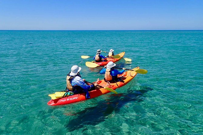 Turtle Tour - Ningaloo Reef Half Day Sea Kayak and Snorkel Tour - Tour Overview