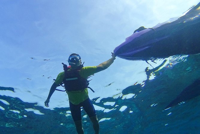 Turtles Accompany You, Little Ryukyu Canoe Snorkeling - Safety Guidelines