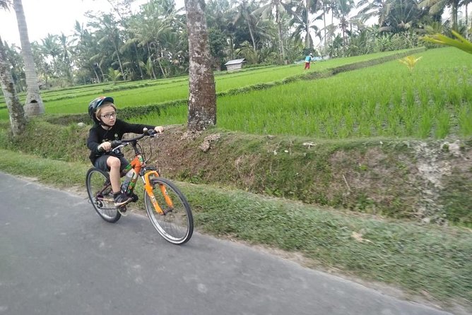 Ubud and Kintamani Day Trip With Bike Ride