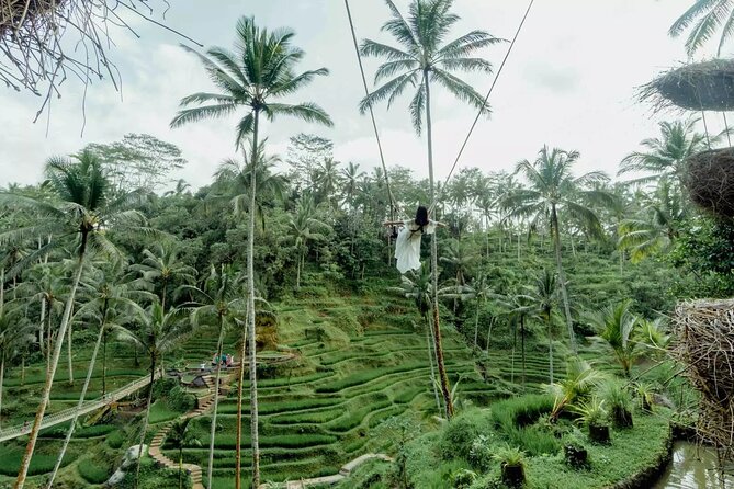 Ubud Bali Tour: Monkey Forest, Rice Terrace & Jungle Swing - Tour Highlights