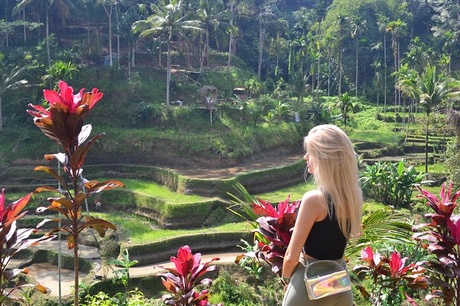 Ubud Customizable Tours Swing, Waterfall and Temple - Tour Highlights