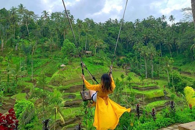 Ubud DayTrip : Monkey Forest - Rice Terrace - Jungle Swing - Water Temple - Exploring Rice Terraces