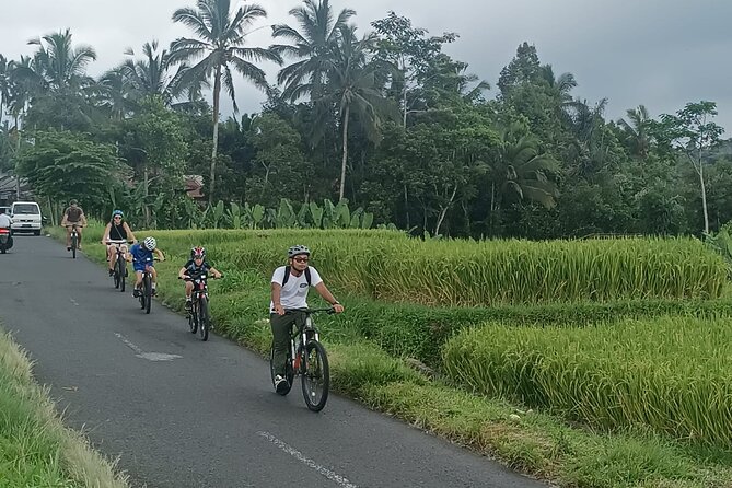 Ubud Downhill Cultural Cycling Tour With Rural and Meal - Pricing and Duration