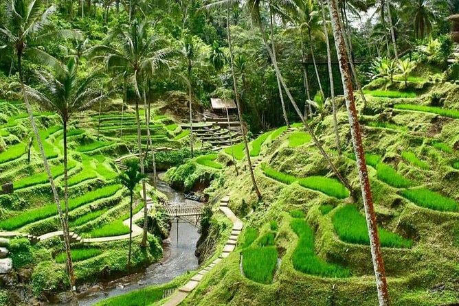 Ubud Highland Purification Temple Full Day Private Guided Tour
