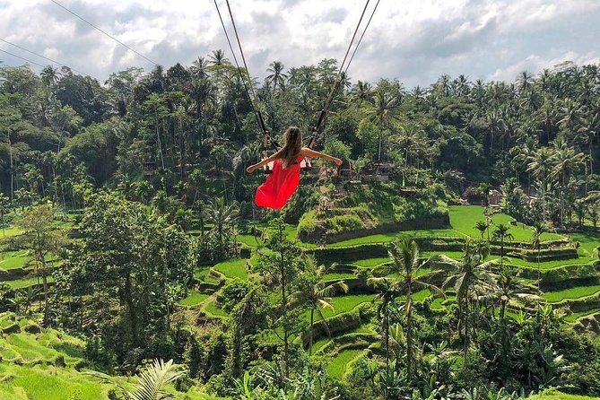 Ubud: Monkey Forest, Jungle Swing, Rice Terrace, and Water Temple