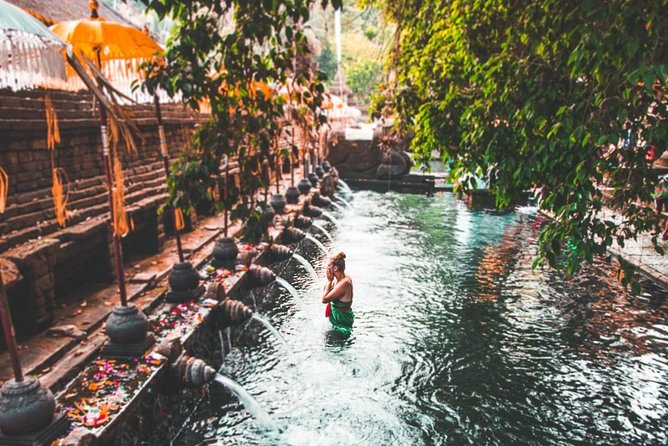 Ubud: Monkey Forest, Jungle Swing, Rice Terrace & Water Temple - Jungle Swing Adventures