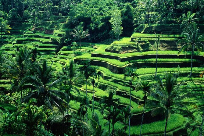 Ubud Private Tour : Ubud Temple and Authentic of Ubud - Overview of Ubud Private Tour
