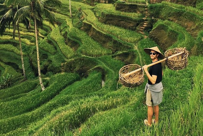 Ubud Sightseeing, Holy Water Temple & Waterfall - Tour Highlights