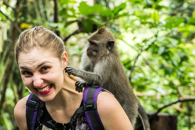 Ubud Tour With Swing, Temple, Monkey Forest, and Waterfall