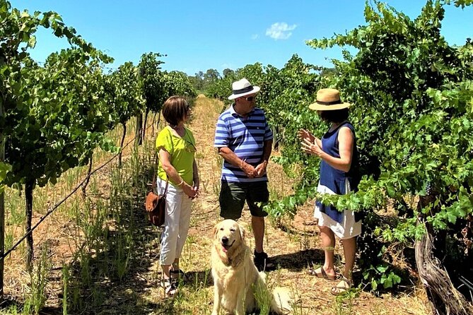 Upper Reach Winery: Swan Valley Winery and Vineyard Tour - Tour Details