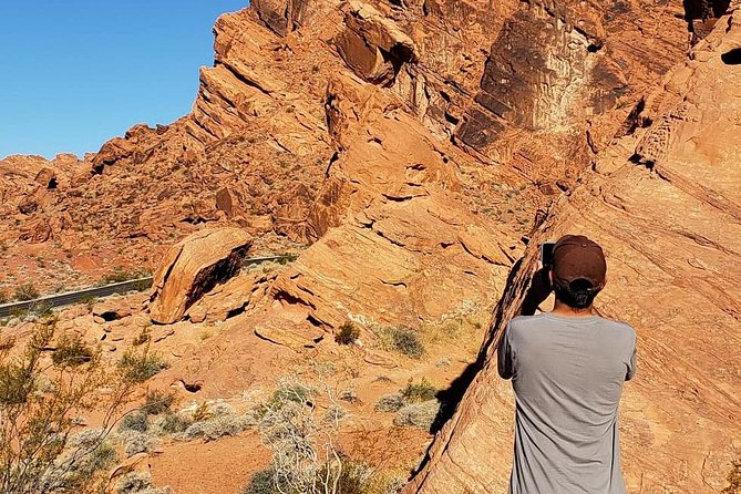 Valley of Fire and Mojave Desert Day Tour From Las Vegas - Reviews and Ratings