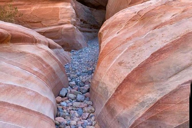 Valley of Fire Small Group Tour From Las Vegas - Customer Reviews