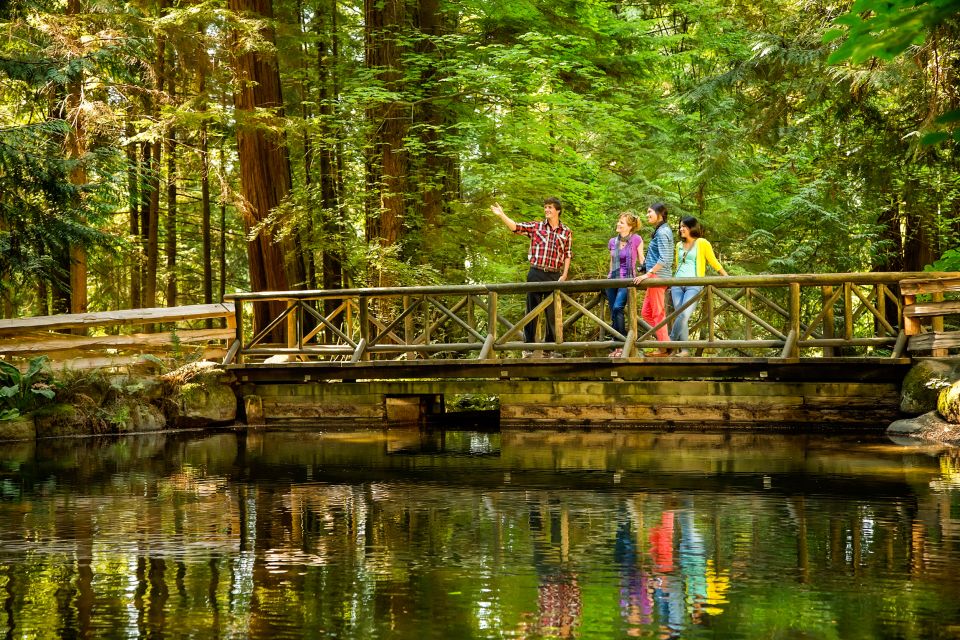 Vancouver: Capilano Suspension Bridge Park Entry Ticket - Visitor Reviews