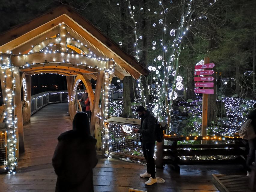 Vancouver: Christmas Tour With Light Festival Entrance - Experience Highlights