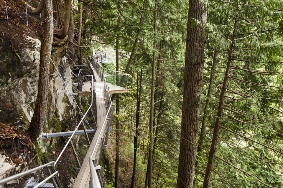 Vancouver: City Tour With Capilano Suspension Bridge - Experience Highlights