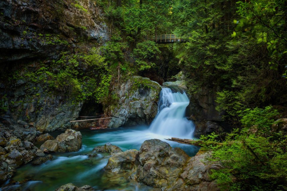 Vancouver: Lynn Valley Suspension Bridge & Nature Walk Tour - Experience Highlights