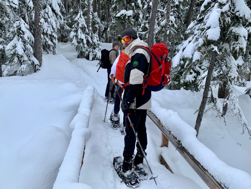 Vancouver: Panoramic View Snowshoeing Tour - Experience Highlights