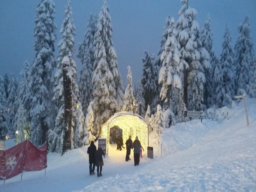 Vancouver Winter Fun Mountain Adventure Tour Private - Highlights