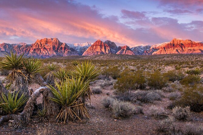 Vegas Strip and Red Rock Canyon Guided Trike or Slingshot Tour - Meeting Point and Stops