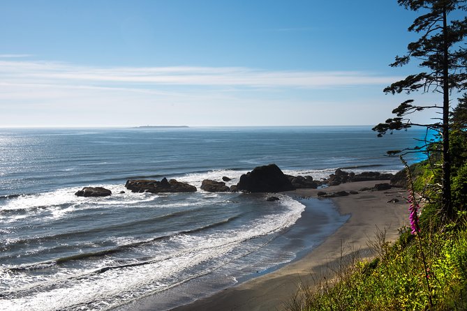 Viator Exclusive Tour- Olympic National Park Tour From Seattle - Traveler Experience