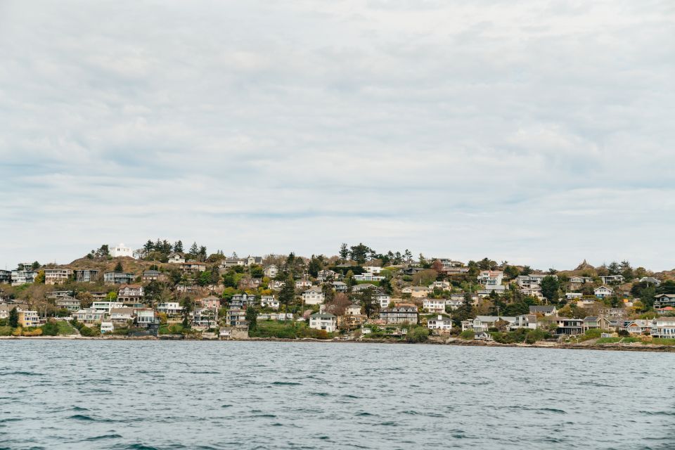 Victoria: 3-Hour Whale Watching Tour in a Zodiac Boat - Activity Details