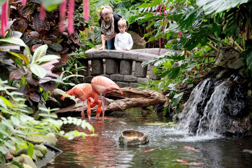 Victoria: Butterfly Gardens Admission Ticket