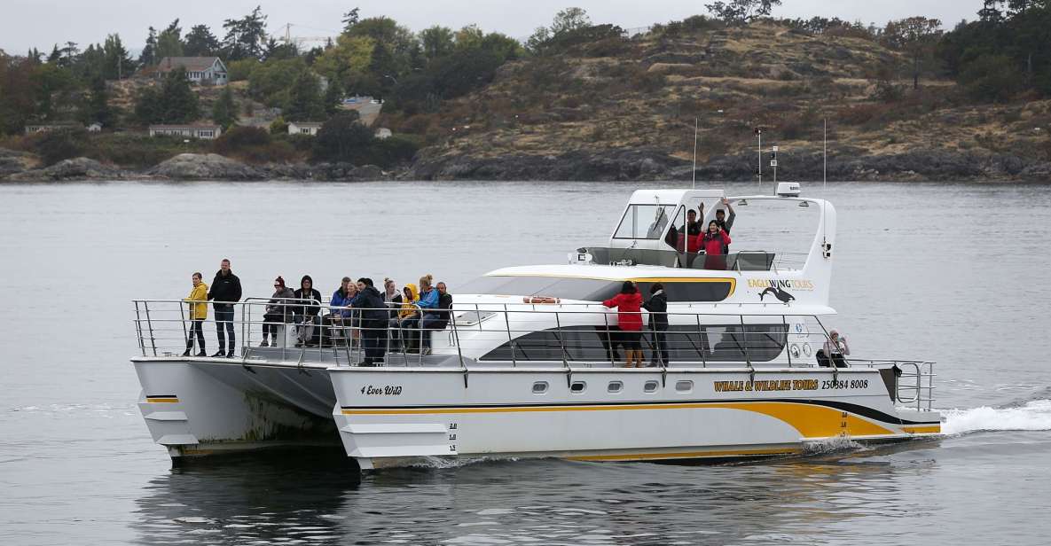 Victoria: Guided Whale and Wildlife-Watching Cruise - Booking Details