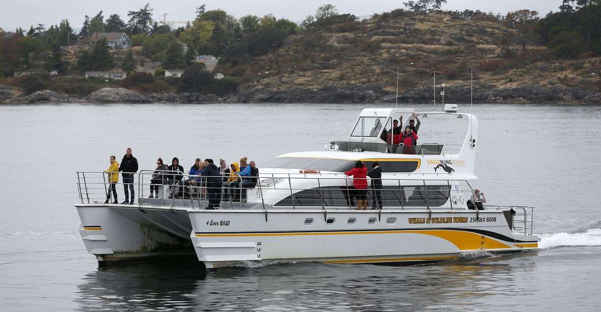 Victoria: Guided Whale and Wildlife-Watching Cruise