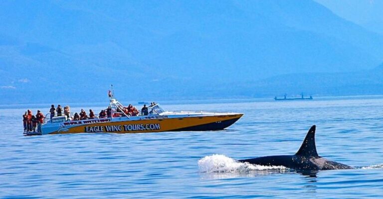 Victoria: Morning Whale-Watching Tour in Scarab Boat