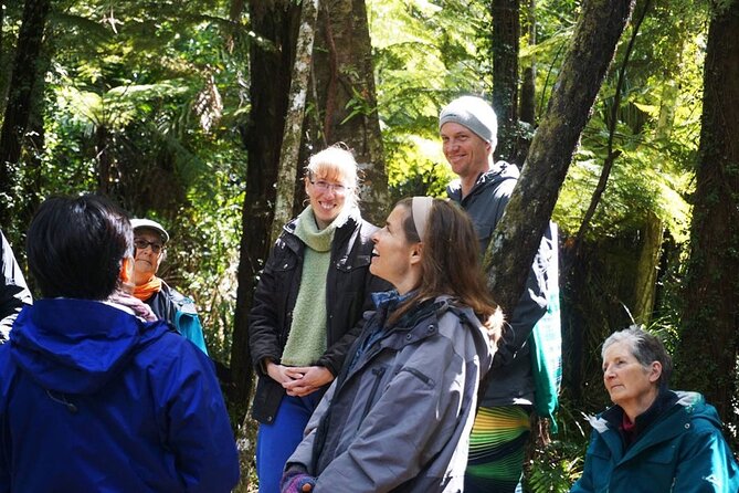 Waiheke Island Private Forest Therapy Walk - Activity Overview