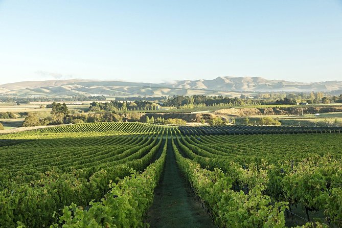 Waipara Wine Experience for 2 or More, Inc Tastings and Lunch - Tour Overview