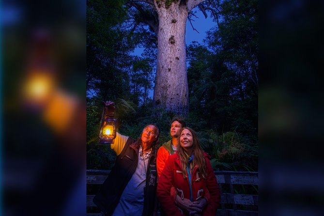 Waipoua Forest: Twilight Encounter – Maori Cultural Eco Night Tour