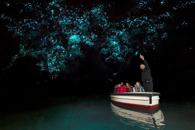 Waitomo Glowworm Caves Guided Tour