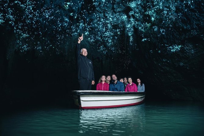 Waitomo Glowworm Caves In a Private Small Group Tour-Auckland. - Tour Highlights