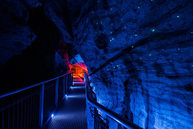 Waitomo Glowworm & Ruakuri Twin Cave – Private Tour From Auckland